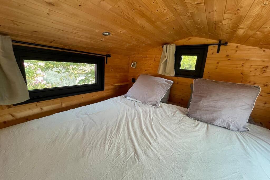 Myinsolite - Tiny-House, Jacuzzi, Brasero, Piscine Айга-Мортас Екстериор снимка