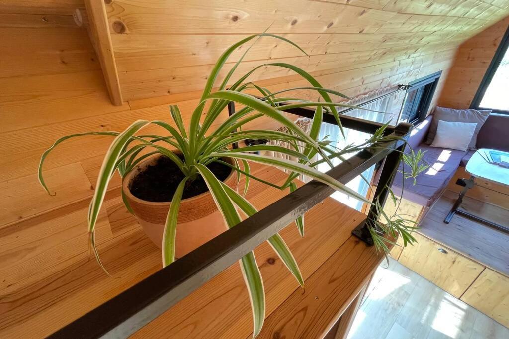 Myinsolite - Tiny-House, Jacuzzi, Brasero, Piscine Айга-Мортас Екстериор снимка